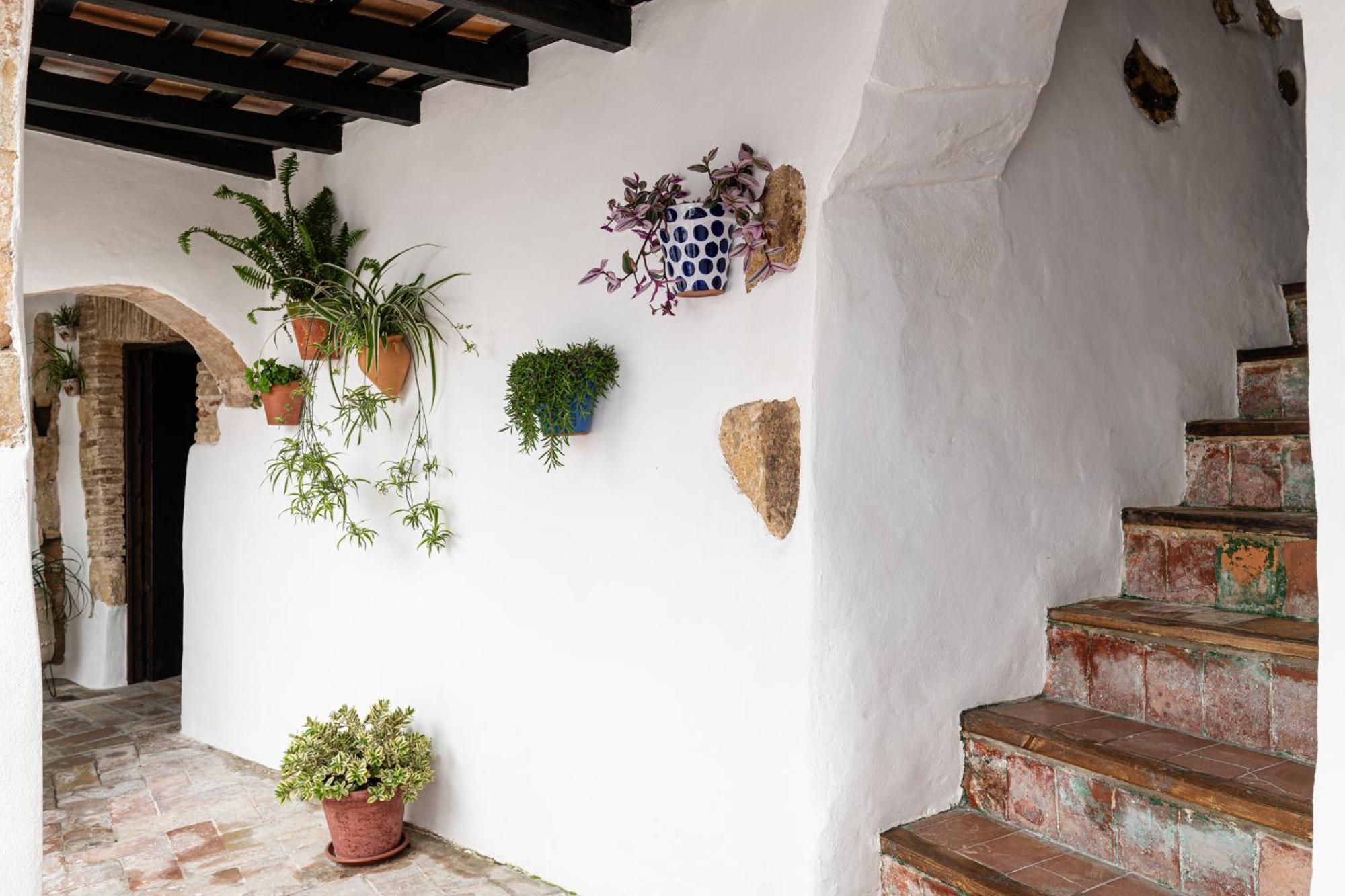 Casa Lunarito Vejer de la Frontera Kültér fotó
